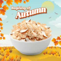 Sungift Coconut Chips 200g 