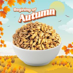 Honey Sunflower Seeds 500g