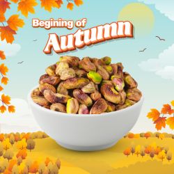 Plain Roasted Pistachios Kernels 500g