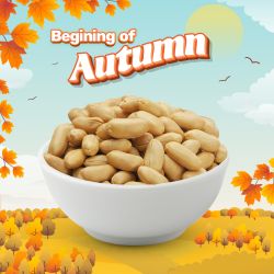 Salted Peanuts 1 Kg 