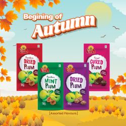 Sungift Dried Plum 18g-50g (Bundle of 4) 