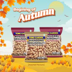 Tong Garden Shandong / Menglembu Groundnuts 120g (bundle of 3) (UP: $4.20)