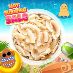 Sungift Coconut Chips 200g 