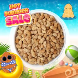 Dried Mulberries 500g