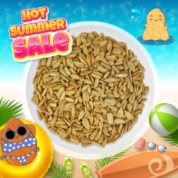 Honey Sunflower Seeds 500g