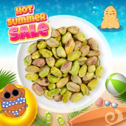 Plain Roasted Pistachios Kernels 500g