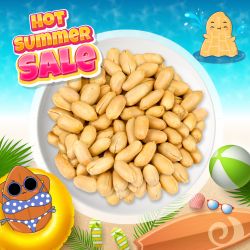 Salted Peanuts 1 Kg 